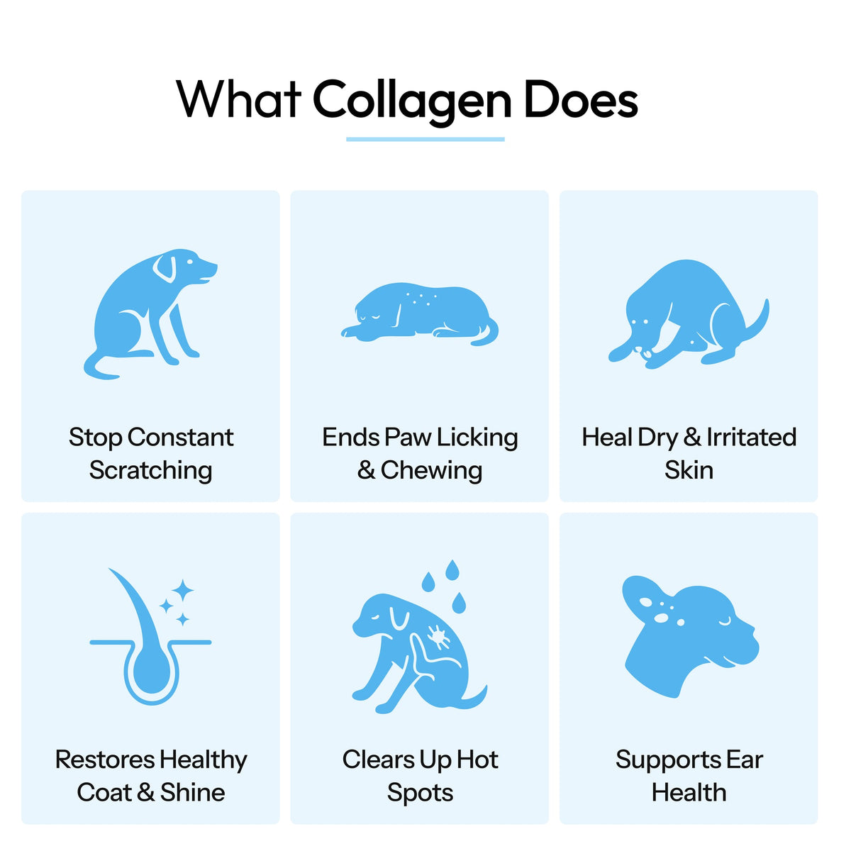 HealthyPetz Premium Liquid Collagen